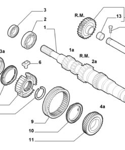 Alternative view of Butuc Viteza 3-4  55200965 / 6000100051